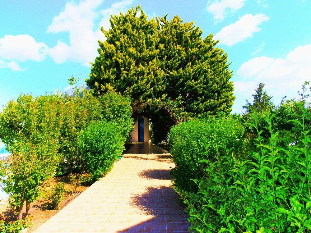 Belvita Hotel Kolymbia Exterior foto